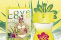 Любовь солнца в аромате Sun & Love от линии Parfums Love Love