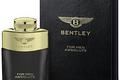 Bentley for Men Absolute – фланкер от Bentley