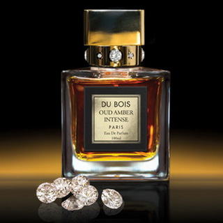 Oud Amber Intense от Fragrance Du Bois