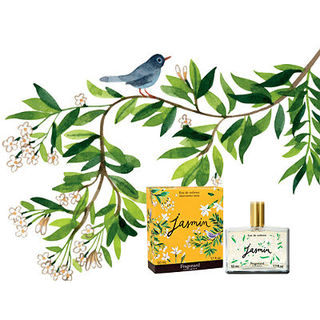 Jasmin – колдовские чары жасмина от Fragonard