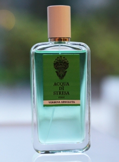 Verbena Absoluta от Acqua di Stresa – новый нишевый аромат унисекс для весенне-летнего периода