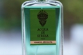 Verbena Absoluta от Acqua di Stresa – новый нишевый аромат унисекс для весенне-летнего периода