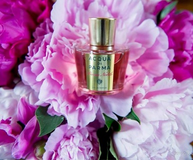 Peonia Nobile – ода пиону от Acqua di Parma