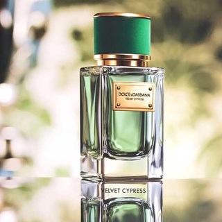 Velvet Cypress – бархатный аромат кипариса от Dolce&Gabbana