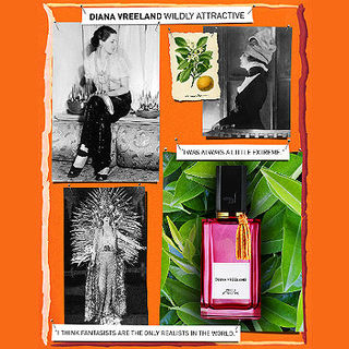 Wildly Attractive – особый шарм от Diana Vreeland