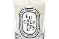 Eucalyptus Candle – новая душистая свеча от Diptyque