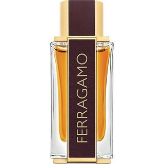 Salvatore Ferragamo Spicy Leather для сильного, харизматичного мужчины