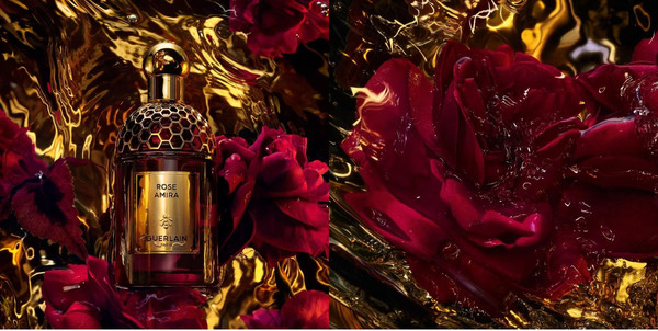 Rose Amira — новое пополнение серии Absolus Allegoria от Guerlain