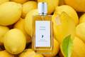 Crema Limone — лимонный десерт от Profumi di Pantelleria