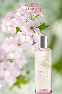 Cerisier en Fleurs от Yves Rocher